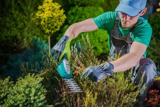 landscaping services Madeira